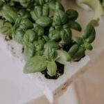 resized_36_api