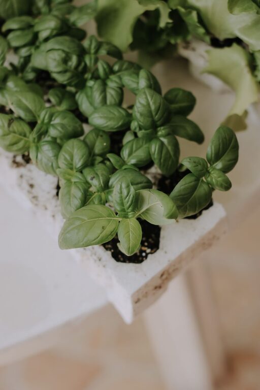 resized_36_api